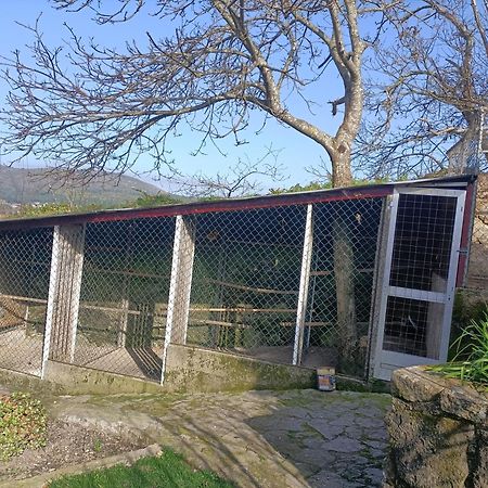빌라프라이라데안코라 Casa De Santa Luzia A 아파트 외부 사진
